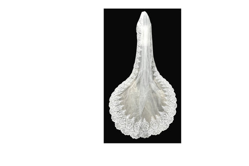 Cathedral Length Lace Wedding Veil with Blusher – Elegant Long Bridal Veil with Lace Trim