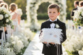 Luxury Inspired Feather Wedding Ring Pillow