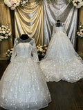 Illusion Sleeve Ball Gown Wedding Dress – Lace Appliqué, Full Tulle Skirt, Cathedral Train- SIZE 18
