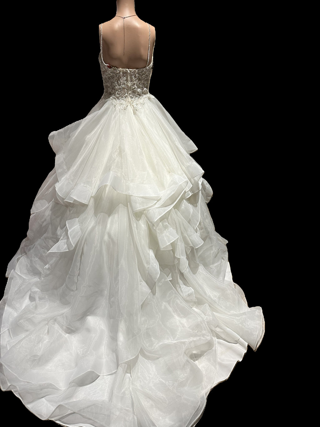 Martin Thornburg Full Ball Gown with V-Neck with Lace and Embroidery SIZE 6